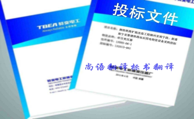 西班牙語投標書翻譯價格要多少錢？收費標準是什么？